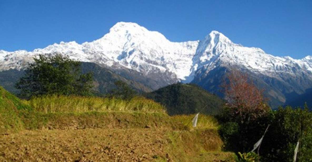 Annapurna - 4 Days Poon Hill Trek From Pokhara. - Daily Itinerary