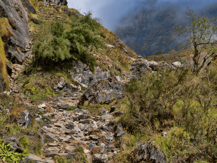 Annapurna Base Camp Express: 6-Day Trekking Itinerary - Experience Highlights