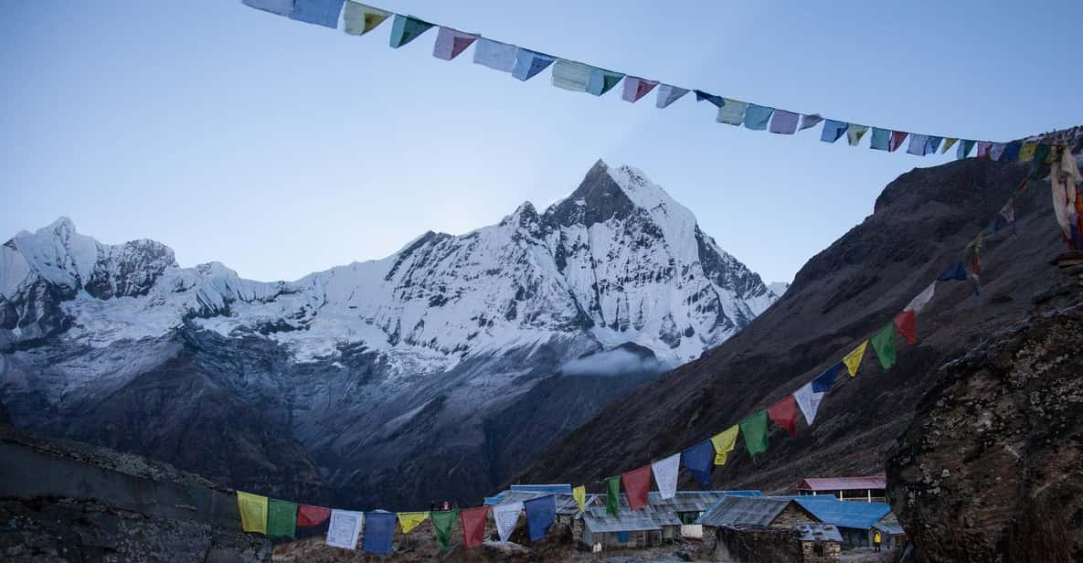 Annapurna Base Camp Trek - Wildlife and Ecosystems