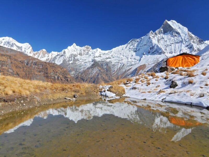 Annapurna Base Camp Trek: 5 Days From Pokhara - Inclusions and Services