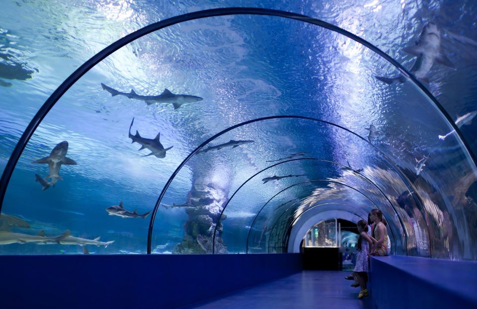 Antalya: Aquarium Entrance Ticket & Optional Transfer - Transfer Options Available