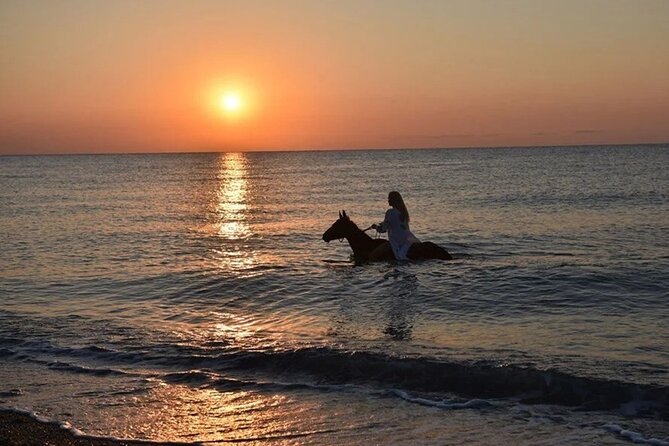 Antalya Horse Riding On Beach And Through The Forests For 2 Hours - Meeting and Pickup Information