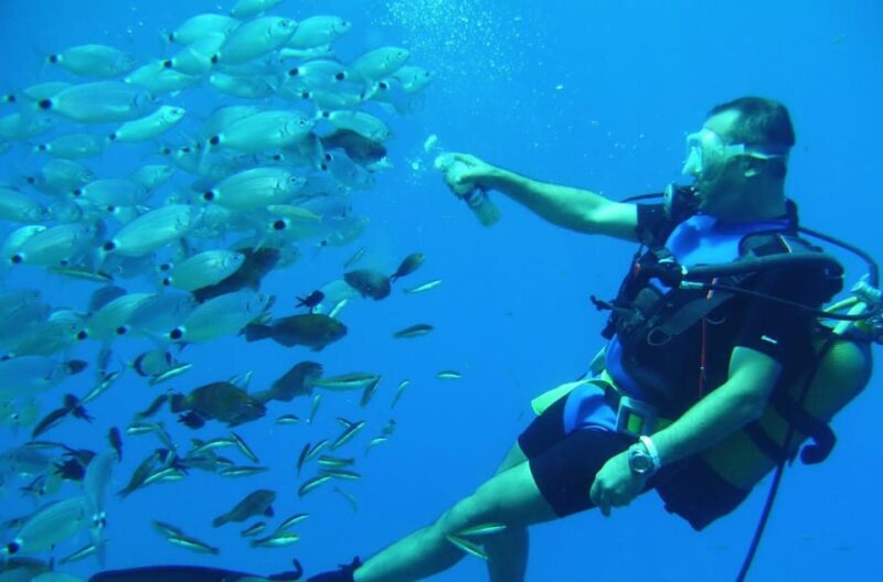Antalya/ Kemer/ Belek: Scuba Diving With Lunch & Transfer - Scuba Diving Experience
