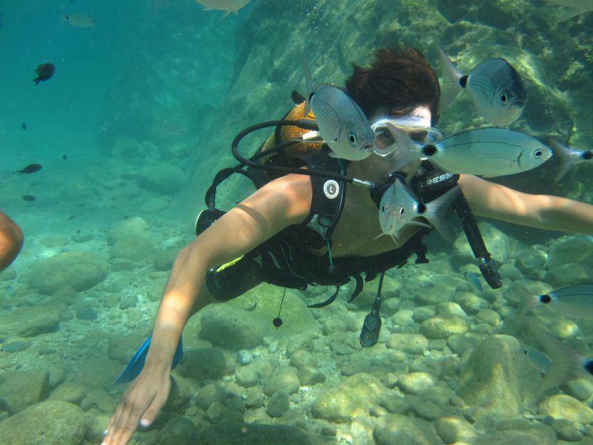 Antalya/Kemer: Scuba Diving Experience With Lunch & Pick up - Inclusions of the Package