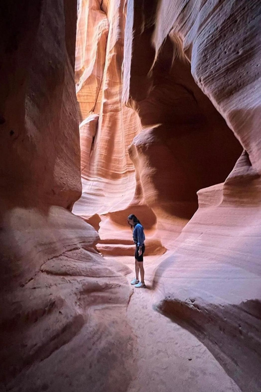 Antelope Canyon and Horseshoe Bend Vip Small Group Tour - Inclusions and Amenities