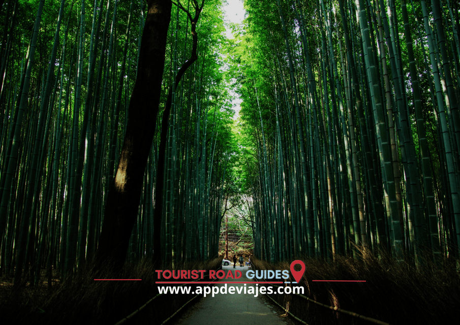 Arashiyama Self Guided Tour App Multilingual Audio Guide - Customization Options