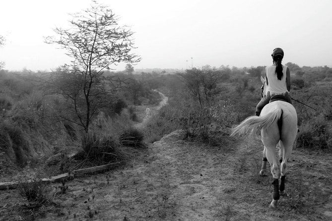 Aravali Trail Experience( Jungle Safari Forest Area)- Horseback Riding - Natural Landscapes Exploration