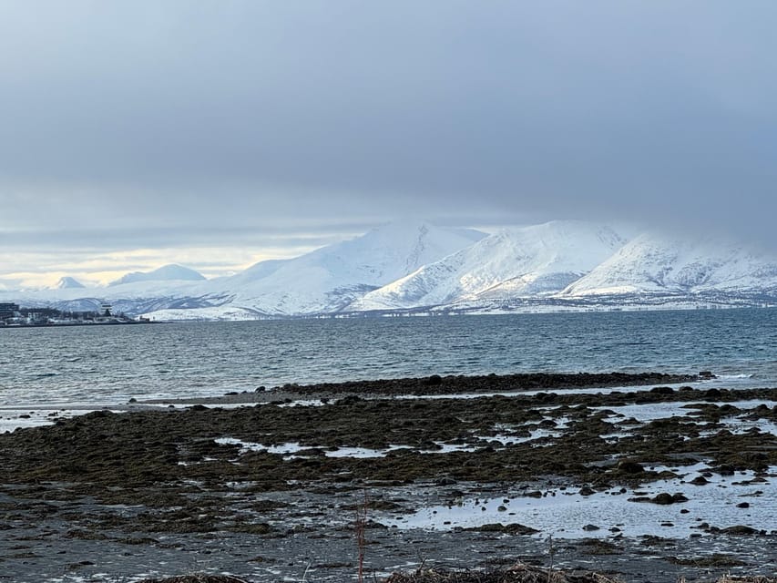 Arctic Nature Tour in Kvaløya With Hot Food and Drinks - Inclusions