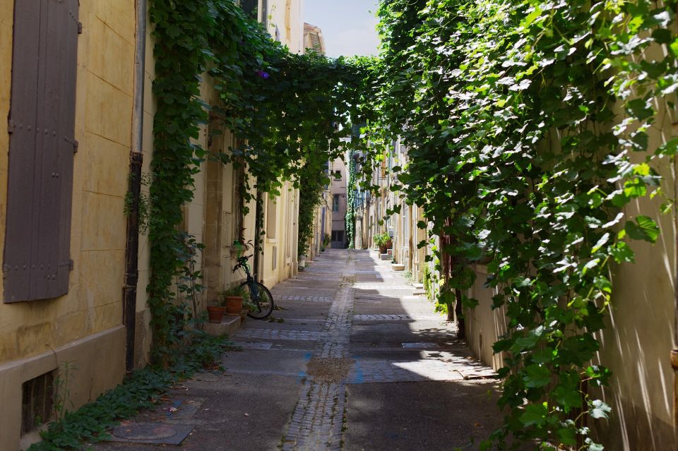 Arles 2-Hour Private Walking Tour - Main Stops on the Tour