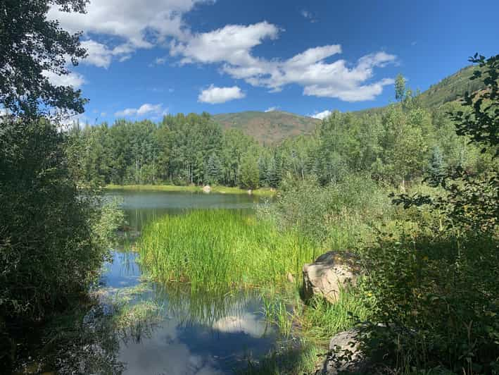 Aspen: Guided Light Hike With Roaring Fork River Views - Experience Highlights