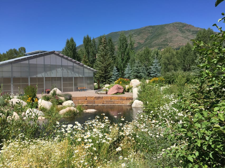 Aspens Off the Beaten Path Scenic Walking Tour - Experience Highlights