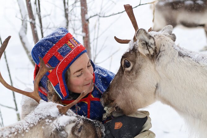 Aurora Hunting With Reindeer Caravan - Sledding Through the Wilderness