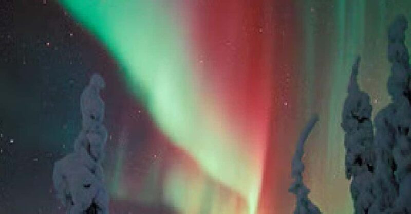 Aurora Trek With Snowshoes - Activity Highlights