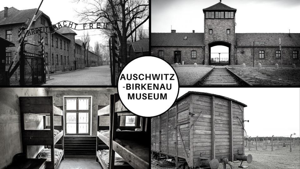 Auschwitz-Birkenau: Museum Entry Ticket With Guided Tour - Visitor Requirements