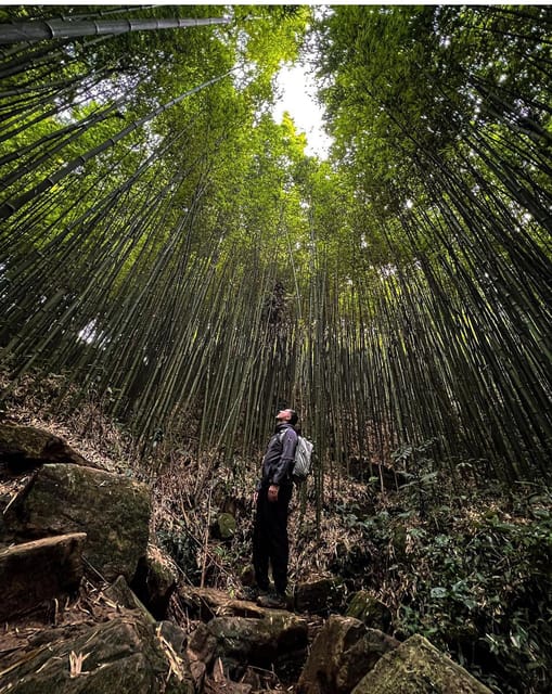 Authentic Experience,BambooForest,Waterfall ,LESS TOURIST - Trekking Experience