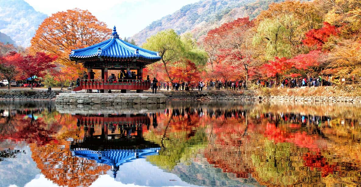 Autumn Foliage - Mt. Naejang + Jeonju Hanok Village - Included in the Tour