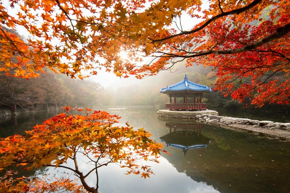 Autumn - Naejangsan National Park Maple Leaves Day Tour - Cancellation Policy