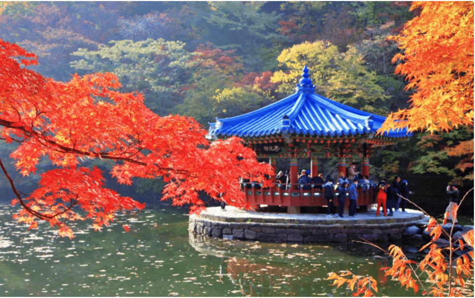 Autumn - Naejangsan National Park Maple Leaves Day Tour - Starting Locations