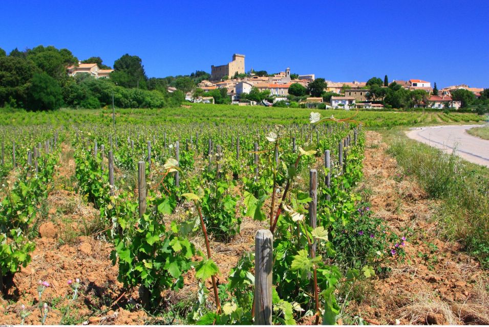 Avignon: Full-Day Wine Tour Around Châteauneuf-Du-Pape - Inclusions and Amenities