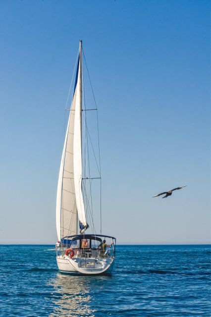 Avra, Half - Day Sailing Cruise - Reservation Process
