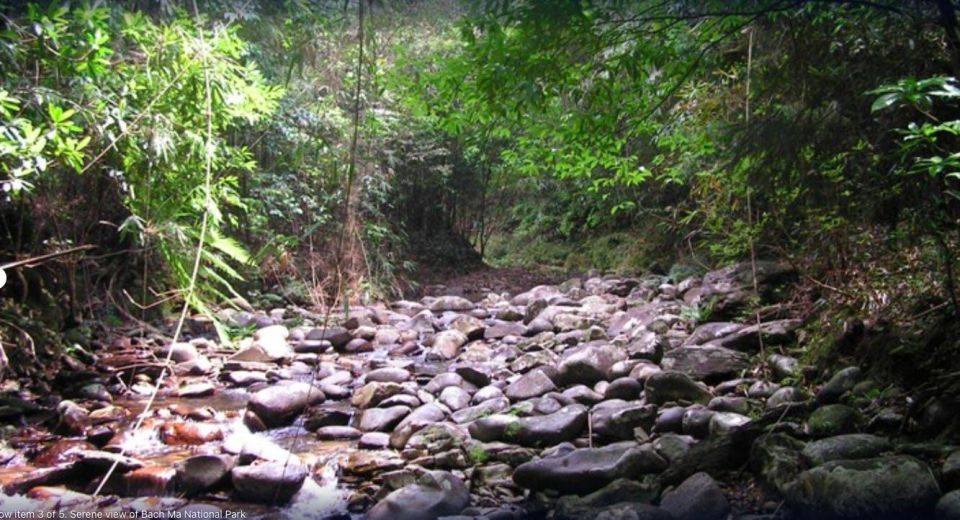 Bach Ma Mountain: Full Day Trekking From Hue (Group Tour) - Whats Not Included