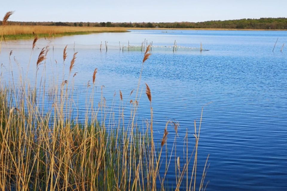 Backcountry Tour - The Hinterland: Dreamy and Beautiful - Fantastic Views and Dreamy Lakes