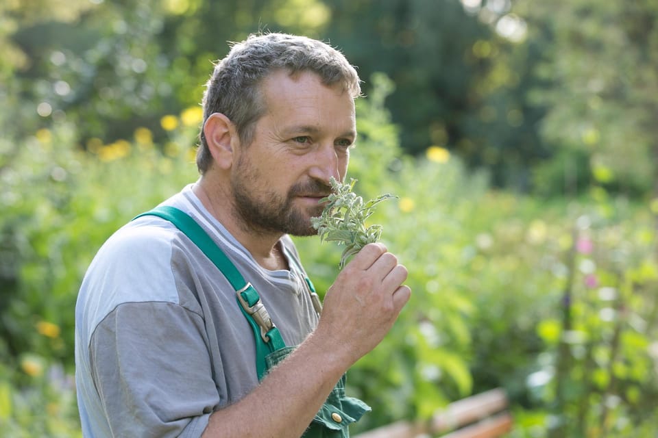 Bad Wörishofen: Herb Tour - Kneipps Favorite Herbs