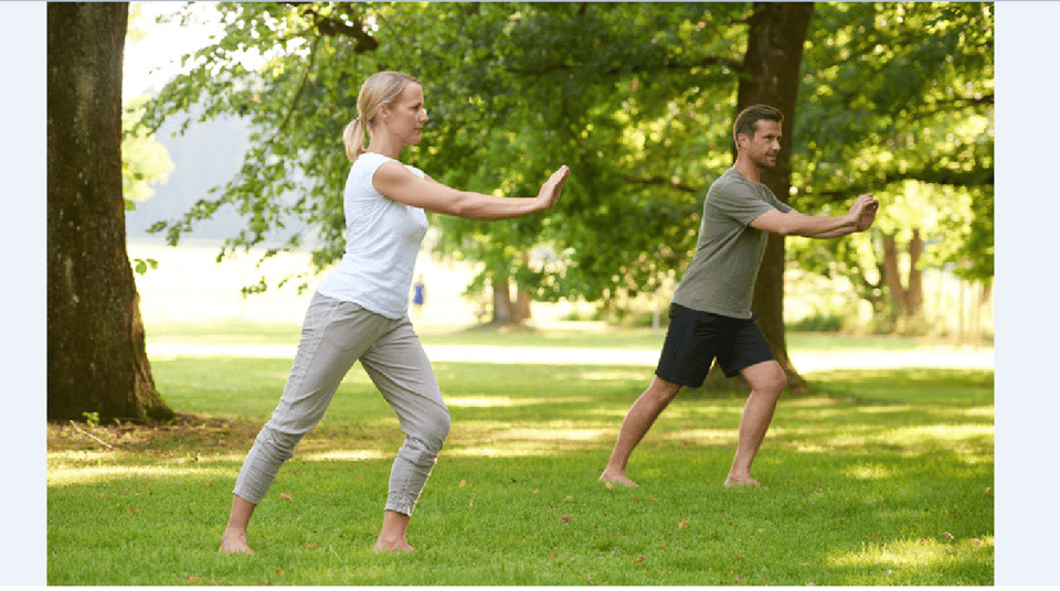 Bad Wörishofen: Tai Chi in the Spa Gardens - Tai Chi Movements