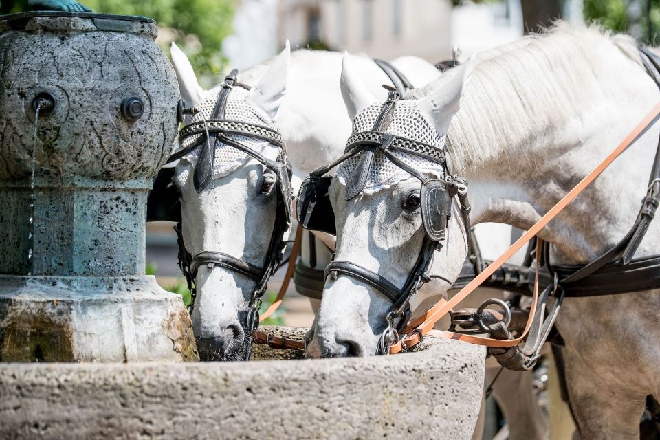 Baden-Baden: Private Walking Tour With A Professional Guide - Historical Highlights