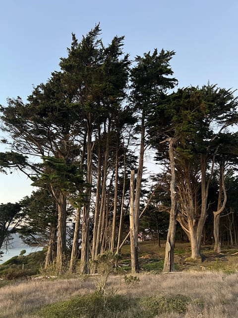 Baker Beach Hike - Route and Experience