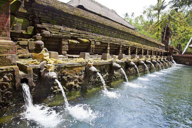 Bali All-Inclusive: Ubud Tour With Entrance Ticket and Lunch Included - Participation Details