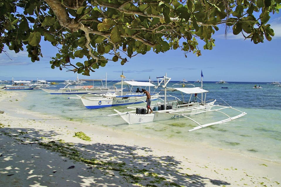 Balicasag Island Private Tour and Dolphin Watching - Inclusions and Requirements