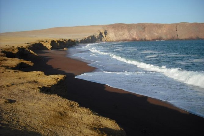 Ballestas Islands and Paracas National Reserve Day Trip From Paracas - Meeting Point and End Location
