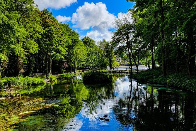 Ballina Treasure Hunt - Self-Guided Outdoor Game in Belleek Woods - Positive Reviews and Feedback