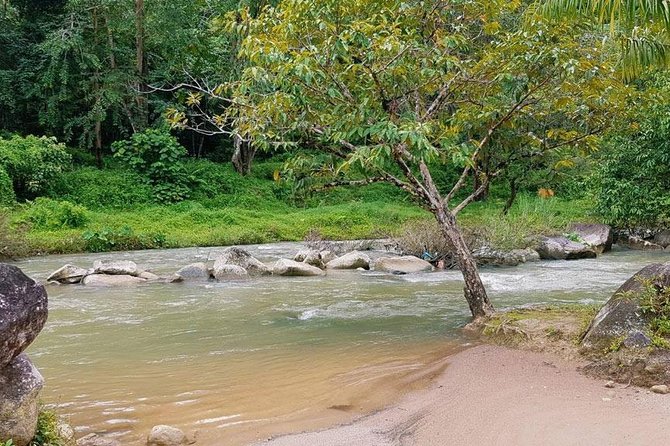 Bamboo Rafting and Jungle Tour From Phuket - Pickup Information and Logistics