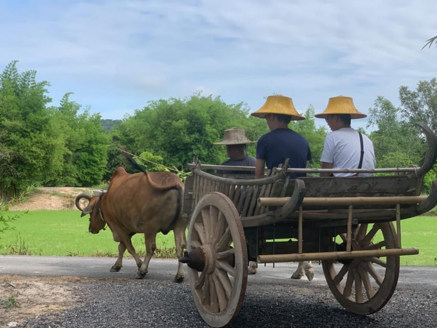 Bangkok: Authentic Thai Cooking Class and Local Lifestyle - Explore Traditional Thai Lifestyle