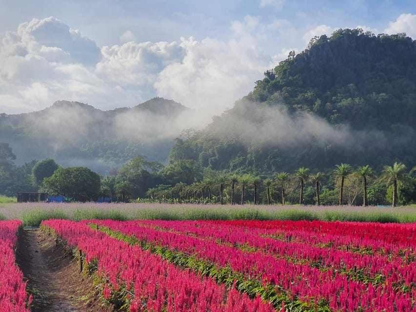 Bangkok: Khao Yai Nature & Wildlife Private Car Charter Tour - Pickup and Itinerary