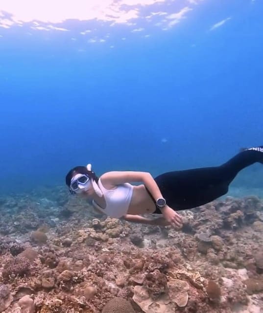 Bantayan Island: Intro Freediving Experience - Experience Highlights