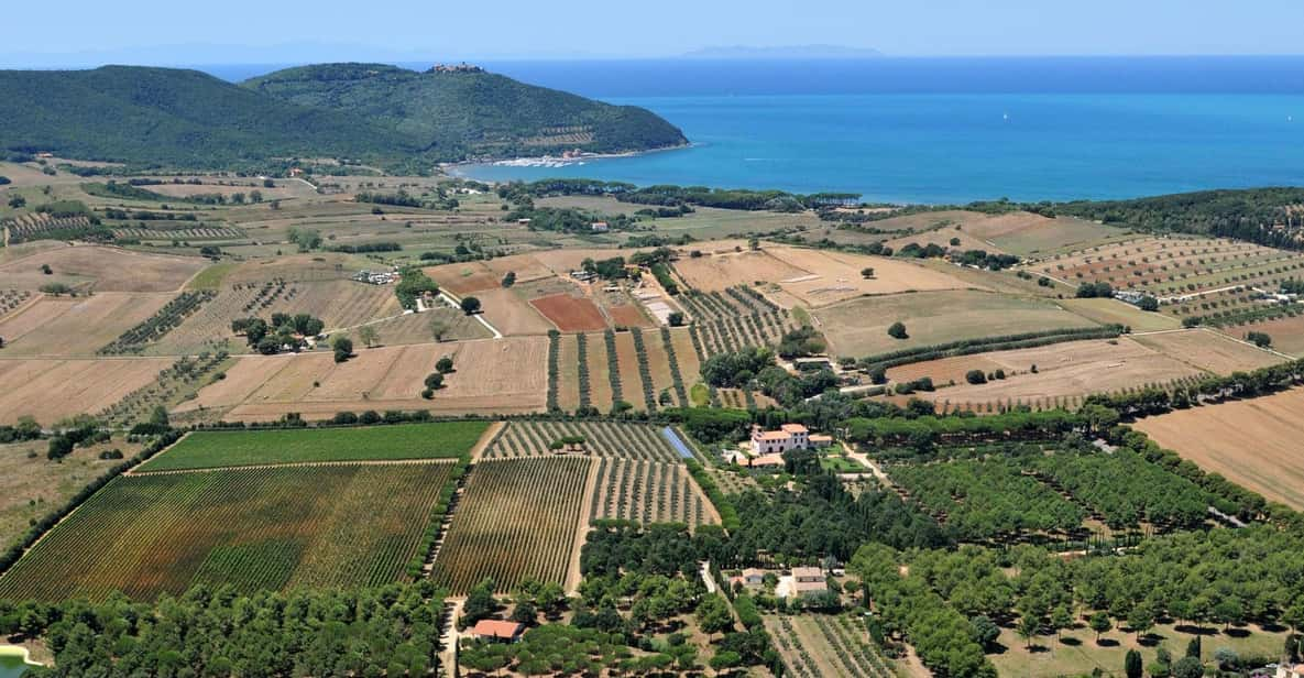 Baratti Bay & Populonia: E-Bike Tour + Shuttle Service - Participant Restrictions