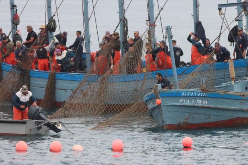 Barbate: Boat Tour to the Almadraba of Conil (Tuna Fishing) - Fishing Tradition and Process