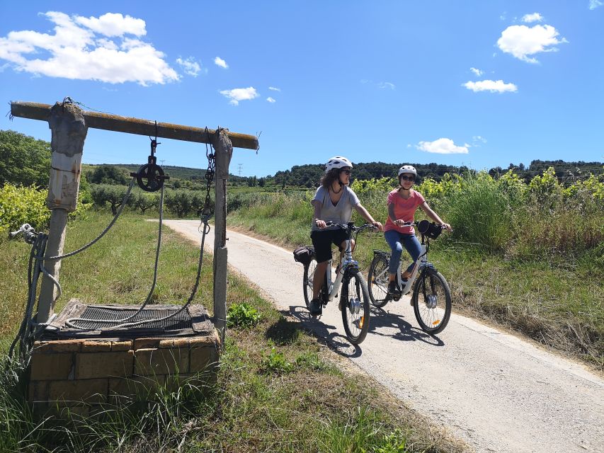 Barcelona: Bike & Wine Guided Tour - Penedès Vineyards - Inclusions