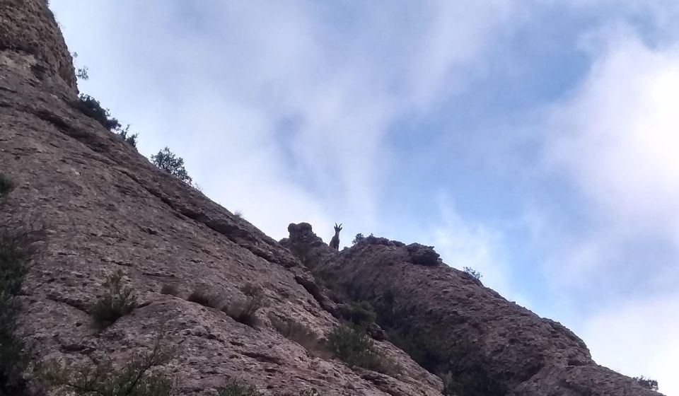 Barcelona: Montserrat Monastery and Natural Park Guided Tour - Inclusions and Exclusions