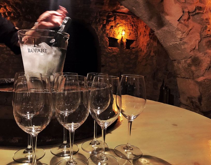 Barcelona: Wine & Sparkling Wine Premium Tour - Catalonias Wine Heritage