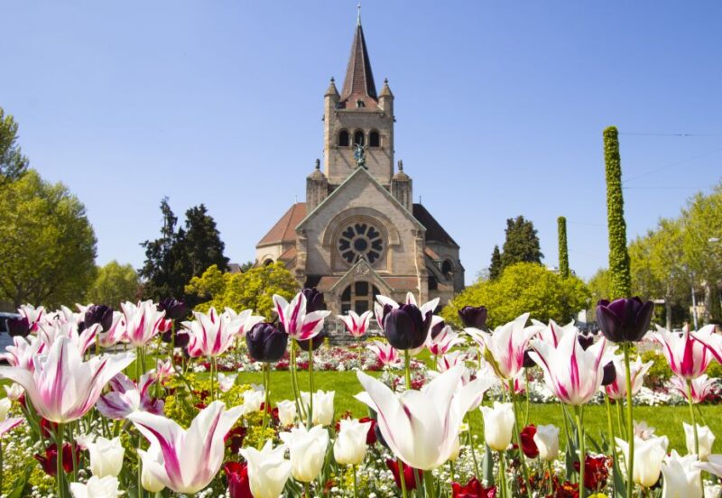 Basel: Capture the Most Photogenic Spots With a Local - Iconic Landmarks to Capture