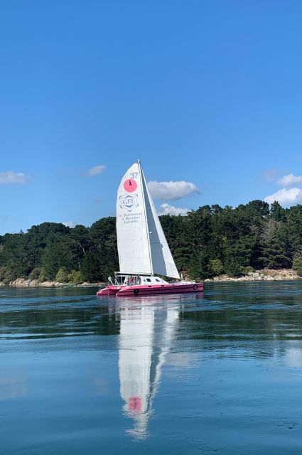 Bay of Quiberon or Morbihan Gulf: Evening 2 Hours Navigation - Catamaran Details