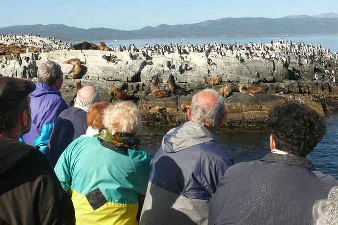 Beagle Channel Navigation Penguin Colony - Reviews and Feedback