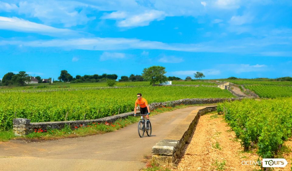 Beaune: Winery Tour by Bike With Wine Tasting - Highlights of the Tour