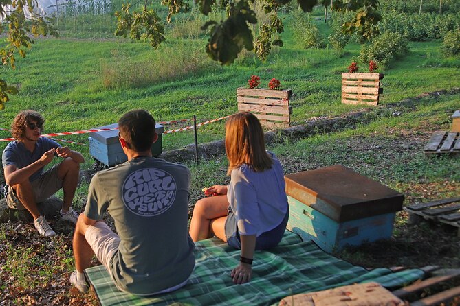 Beekeeping Farm Tour and Tasting Experience in Lazise - Accessibility and Logistics