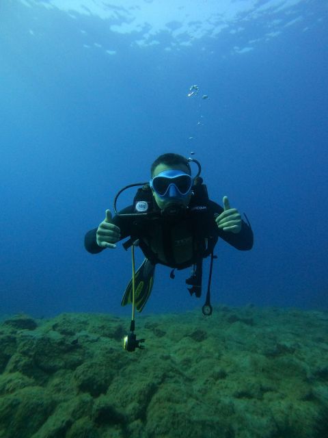 Beginner Scuba Dive With Scubapoint Tenerife in Turtle Area - Dive Experience