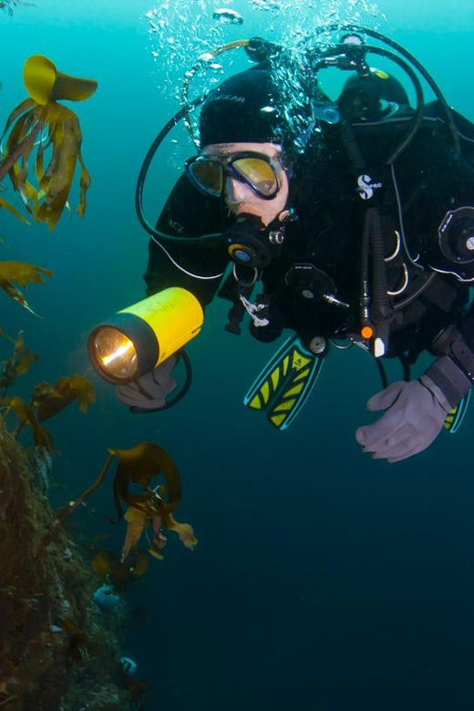 Bergen: Guided Scuba Diving - Safety Measures